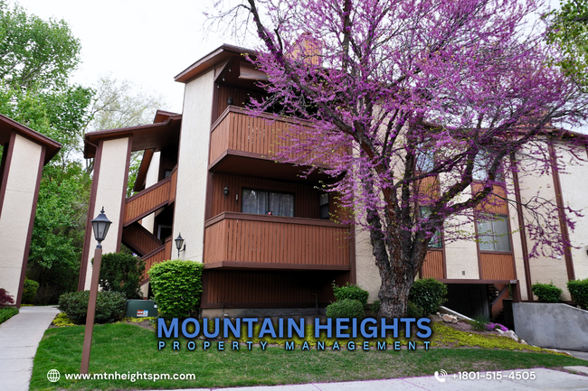 Building Photo - 6841 Countrywoods Cir