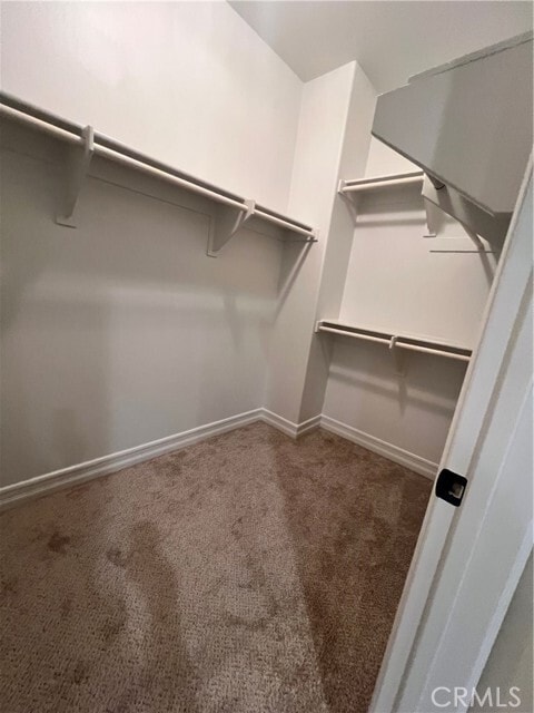 Building Photo - 3356 Via Parma