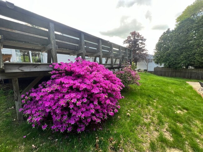 Building Photo - Single Family, Raised Ranch With Many Upda...