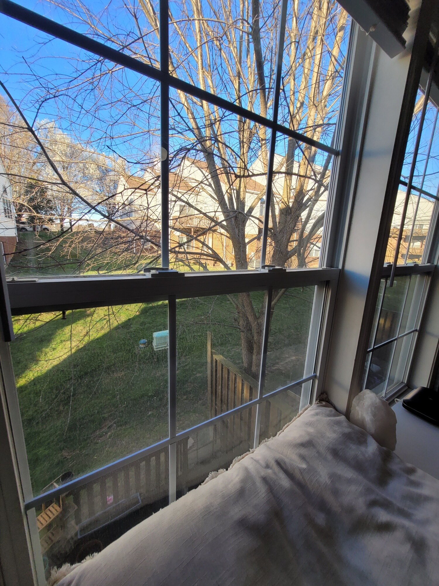 view from master bathroom - 515 Silver Leaf Dr