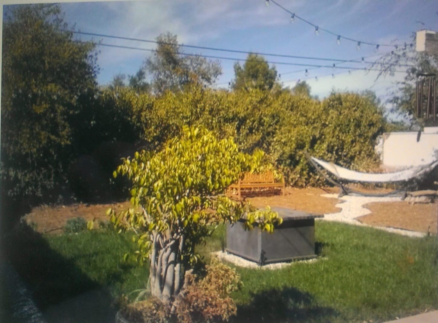 Building Photo - 17565 Bullock St