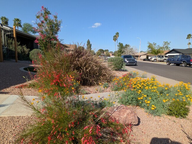 Building Photo - Cornell