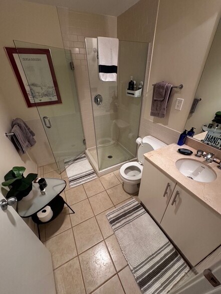 Bathroom - 210 South St