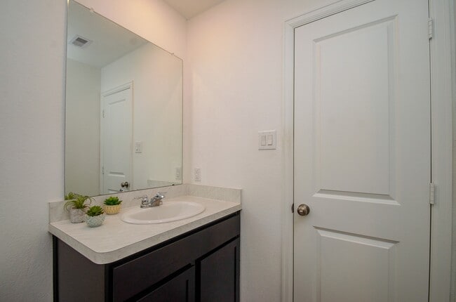 Building Photo - 4355 Palmetto Grv Ln