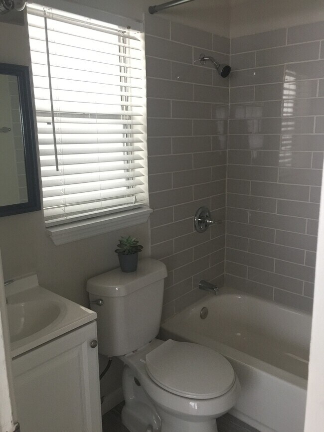 Building Photo - 1 bd/ba Newly Renovated Downtown Apartment...