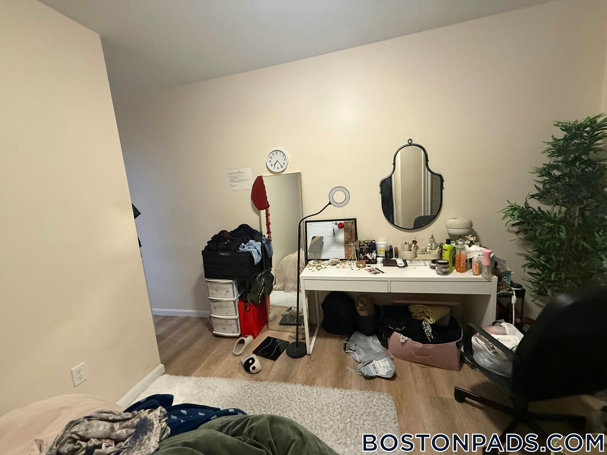 Building Photo - 871 Harrison Ave