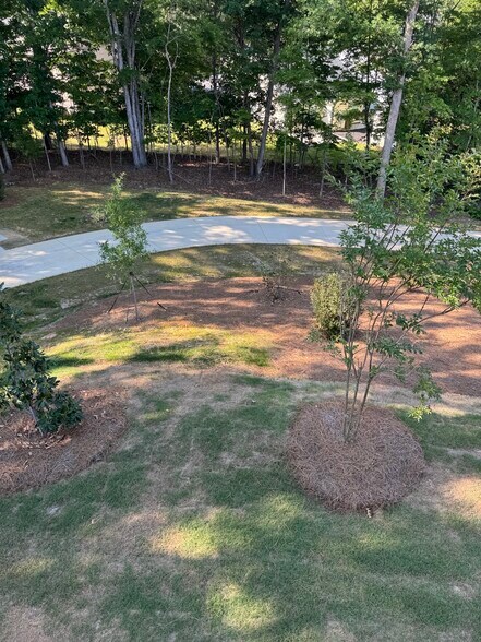Backyard view from deck - 1203 Mary Jane Ave