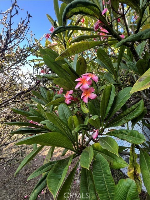 Building Photo - 1355 W 49th St