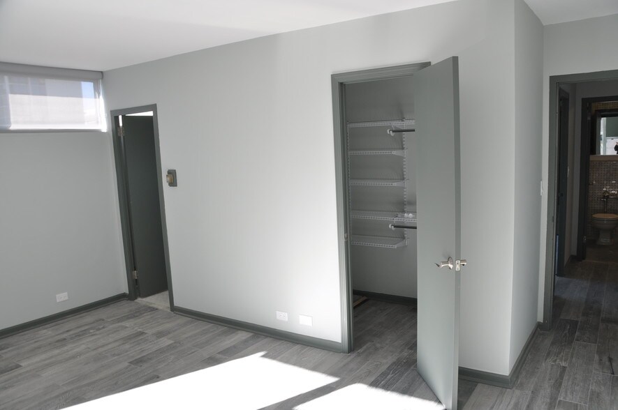 Master bedroom/Walk-in Closet - 1000 N Lake Shore Dr