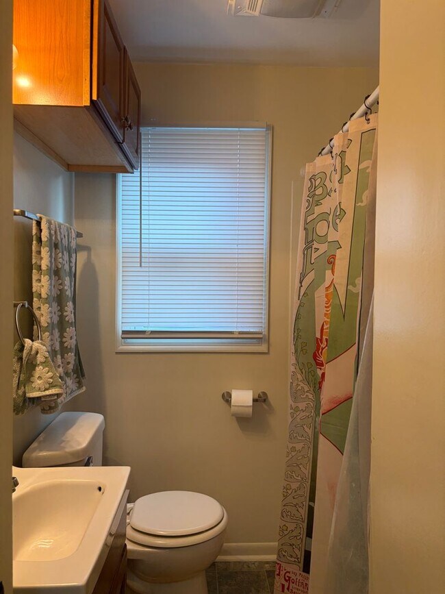 Building Photo - Bellevue Home For Rent!