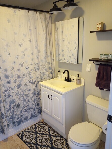 Downstairs bathroom - 28 Robbins St