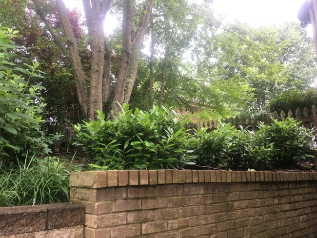 Building Photo - Beautiful 3Bd/2.5 Bath Goshen Woods Property