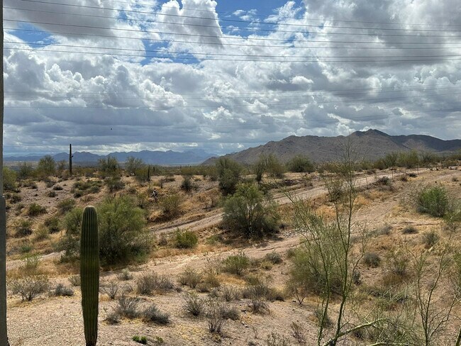 Building Photo - 10401 N Saguaro Blvd