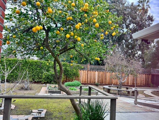 Building Photo - 1874 Villa St