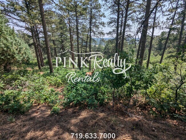 Building Photo - 19935 Hamal Dr