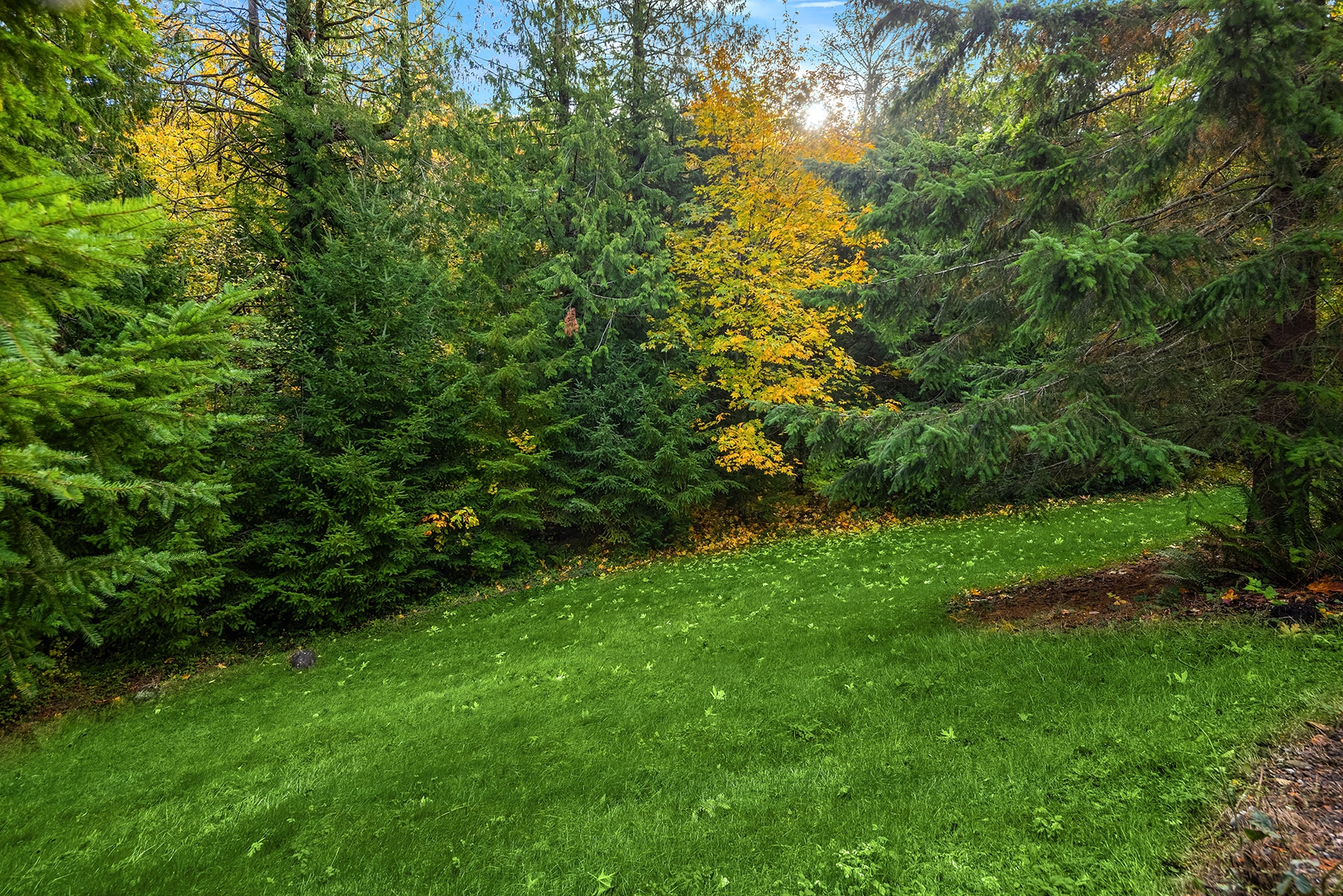 Building Photo - 2416 35th Ave NE