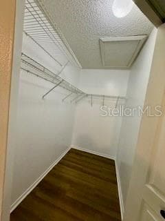 Building Photo - 2565 Grassy Point Dr