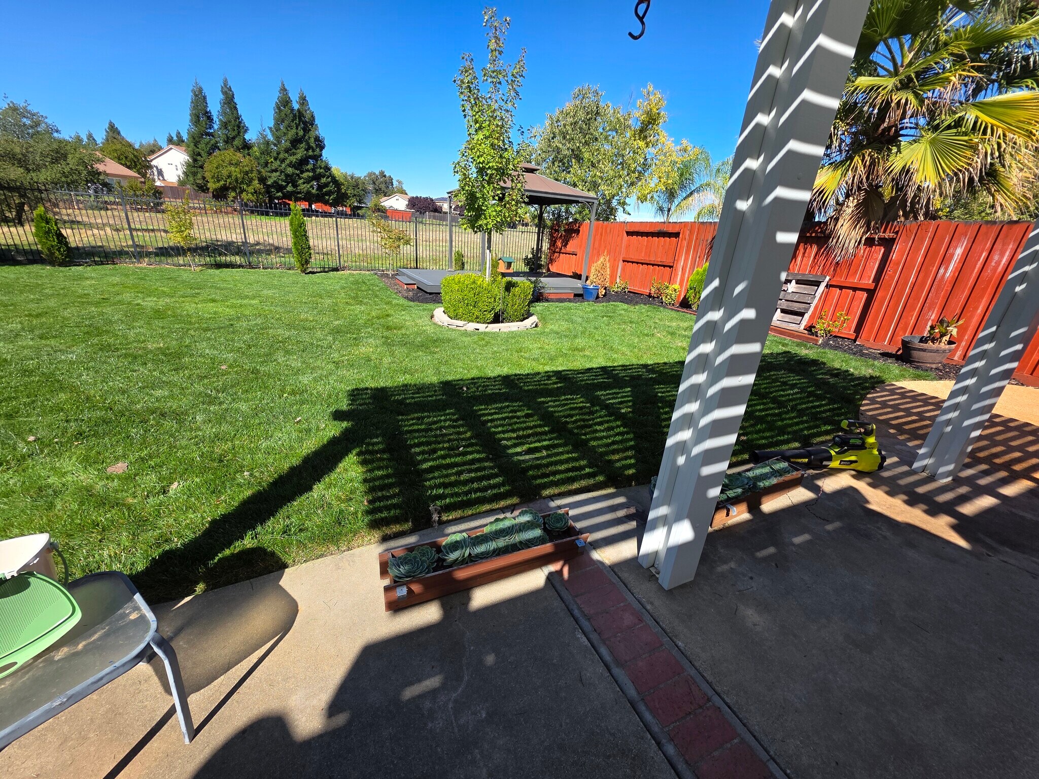 Backyard - 4321 Grafton Cir