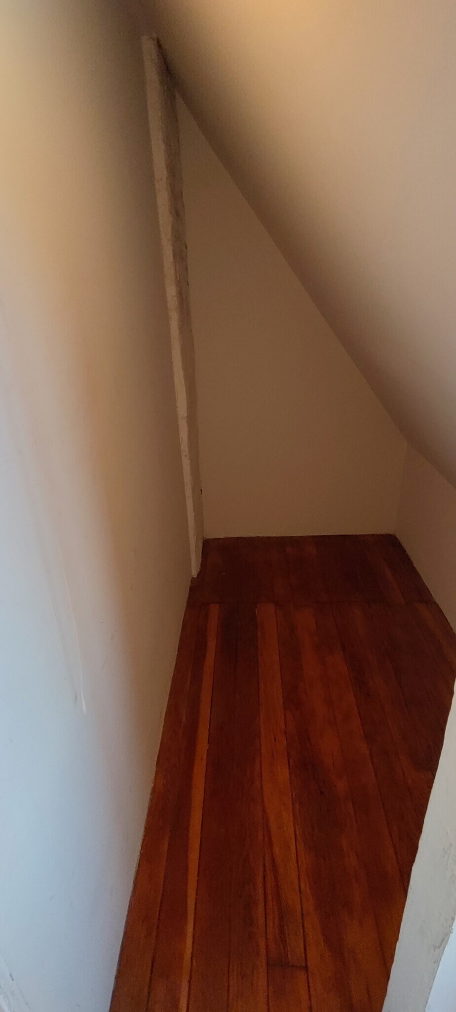 Closet 2 - 1150 Sanborn Ave. Apt C