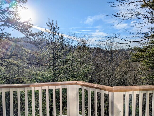 Building Photo - 842 Saddle Back Cir