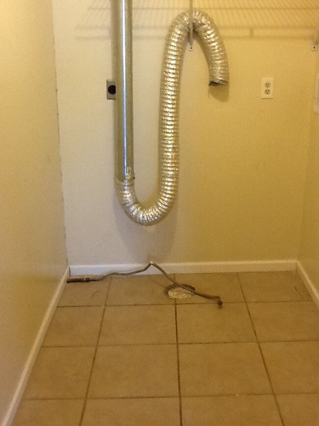 Building Photo - Amazing Country property!