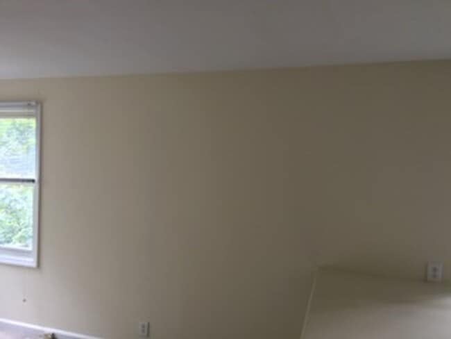 Building Photo - Roomy 1 Bedroom