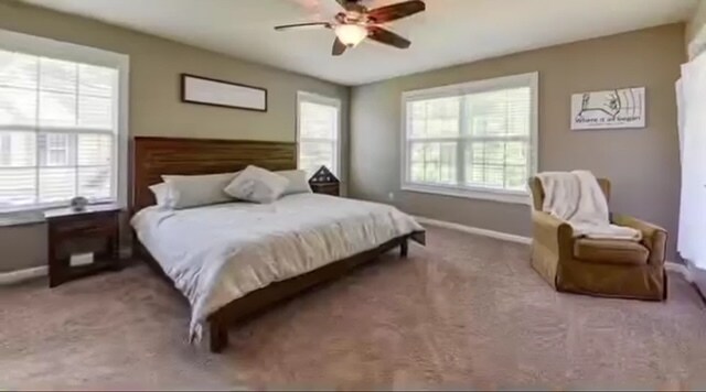 master - 14 Clayton Ct