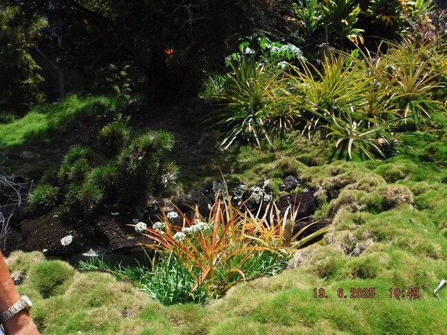 Building Photo - At Home in Manoa 2/1/1