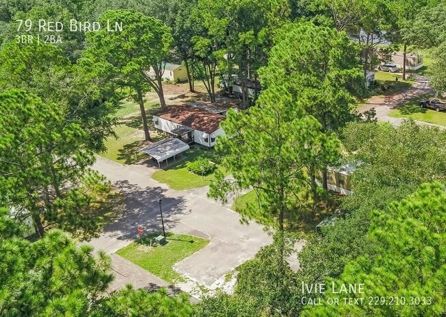 Building Photo - 79 Red Bird Ln-