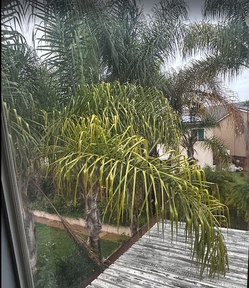 Building Photo - 10 W Borden Rd