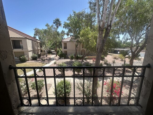 Building Photo - THE RACQUET CLUB IN SCOTTSDALE
