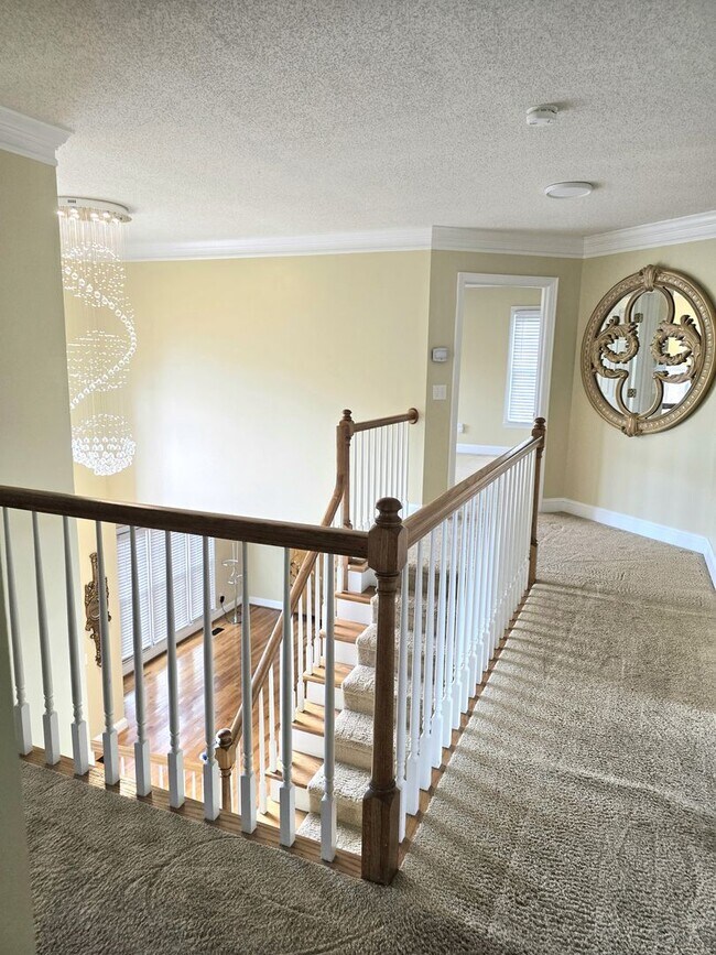 Building Photo - 142 Cottontail Ln SE
