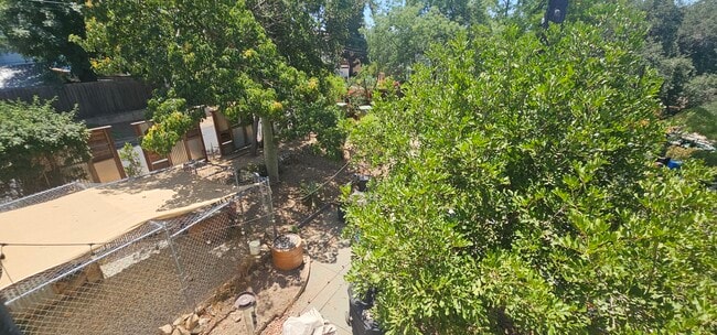 Building Photo - 11023 Tujunga Canyon Blvd