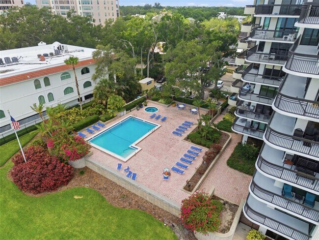 Building Photo - 2413 Bayshore Blvd