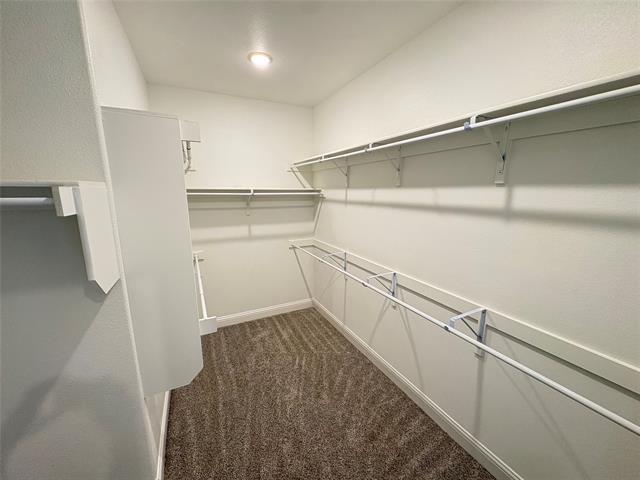 Building Photo - 2823 Diamondback Dr