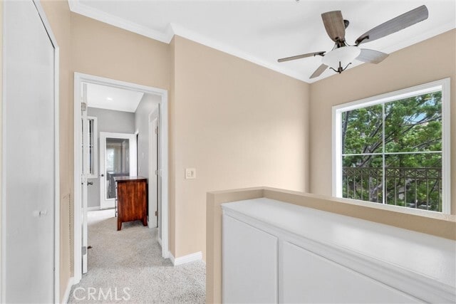 Building Photo - 49 Anacapa Ct