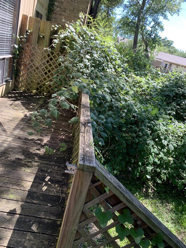 Building Photo - 603 Cache Cove Ct