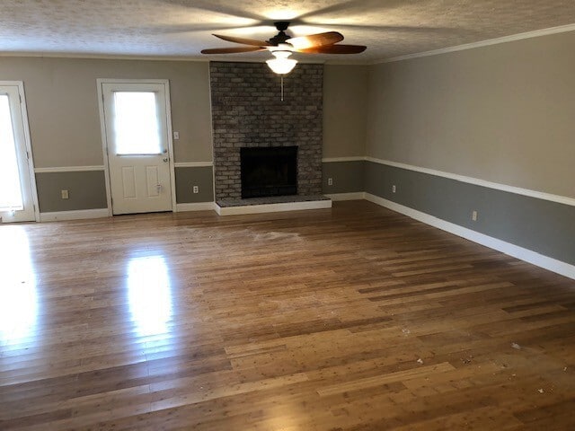Building Photo - Newly Renovated Home on 2 Acres!