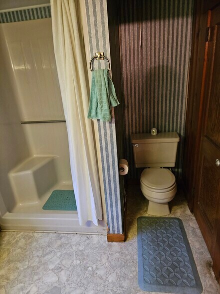 Downstairs bath - 66 Long Pond Rd S