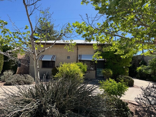 Building Photo - North Campus Gem!