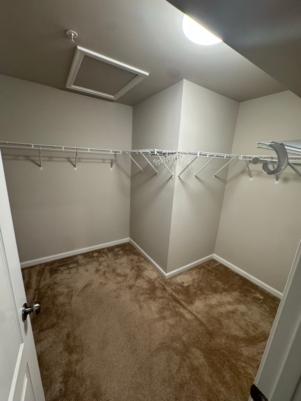 Building Photo - 9102 Vlg Spgs Dr