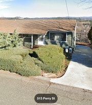 Street view with grass yard and drive down to parking beliw - 510 Perry St