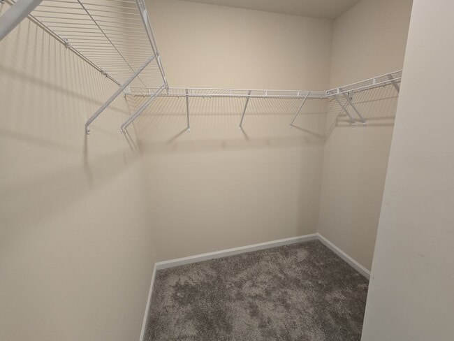 Building Photo - 865 Falls Grove Trl