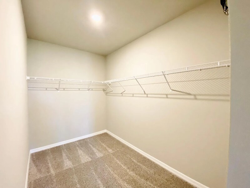 Building Photo - 573 Sun Warbler Wy