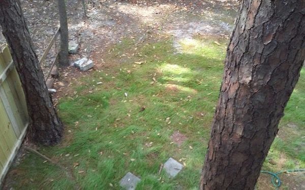 Looking down at backyard - 42 7th Ave