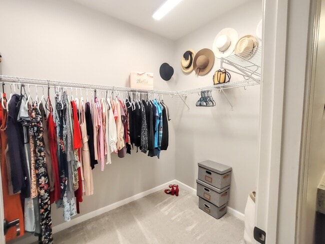 Building Photo - 253 Bella Dr