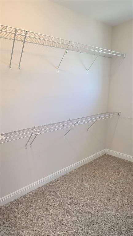 Building Photo - 9753 Lost Creek Dr