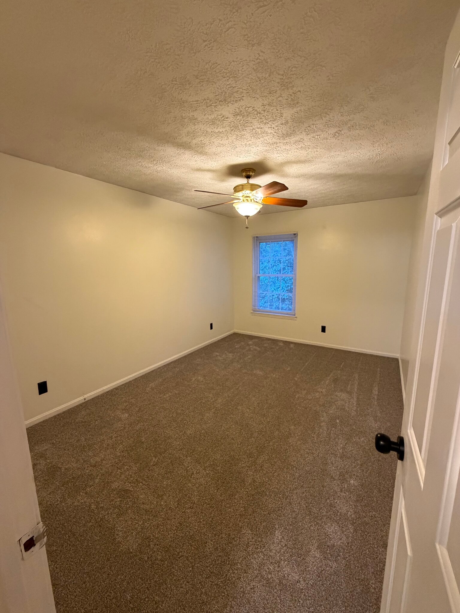 Building Photo - 1304 Cedarwood Dr