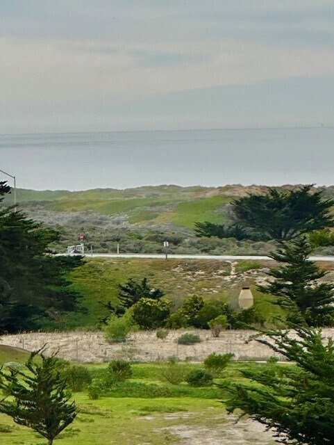 Building Photo - 137 8th St