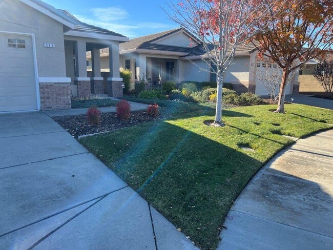 Building Photo - Exclusive Diamond Grove Gated Senior Commu...